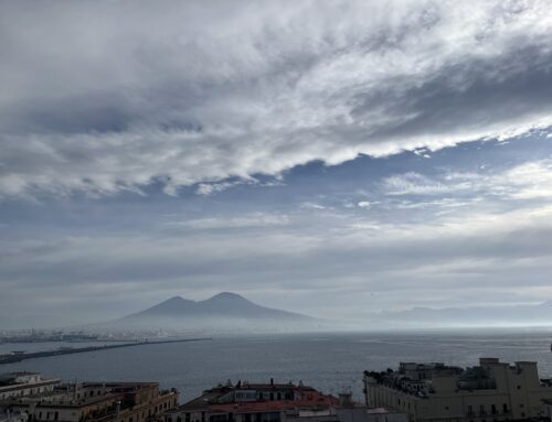 Ocean View in Naples